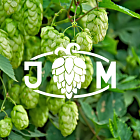 Supply of absolutely limited Czech Saaz hop 